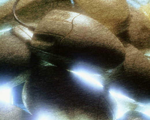 385185 (a): :1280x1024